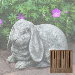 Campania Lop-Eared Bunny