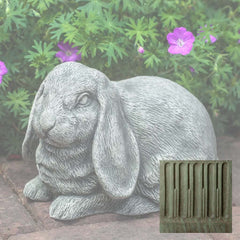 Campania Lop-Eared Bunny