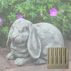 Campania Lop-Eared Bunny