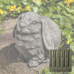 Campania Butterball