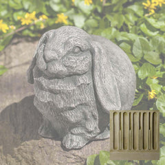 Campania Butterball