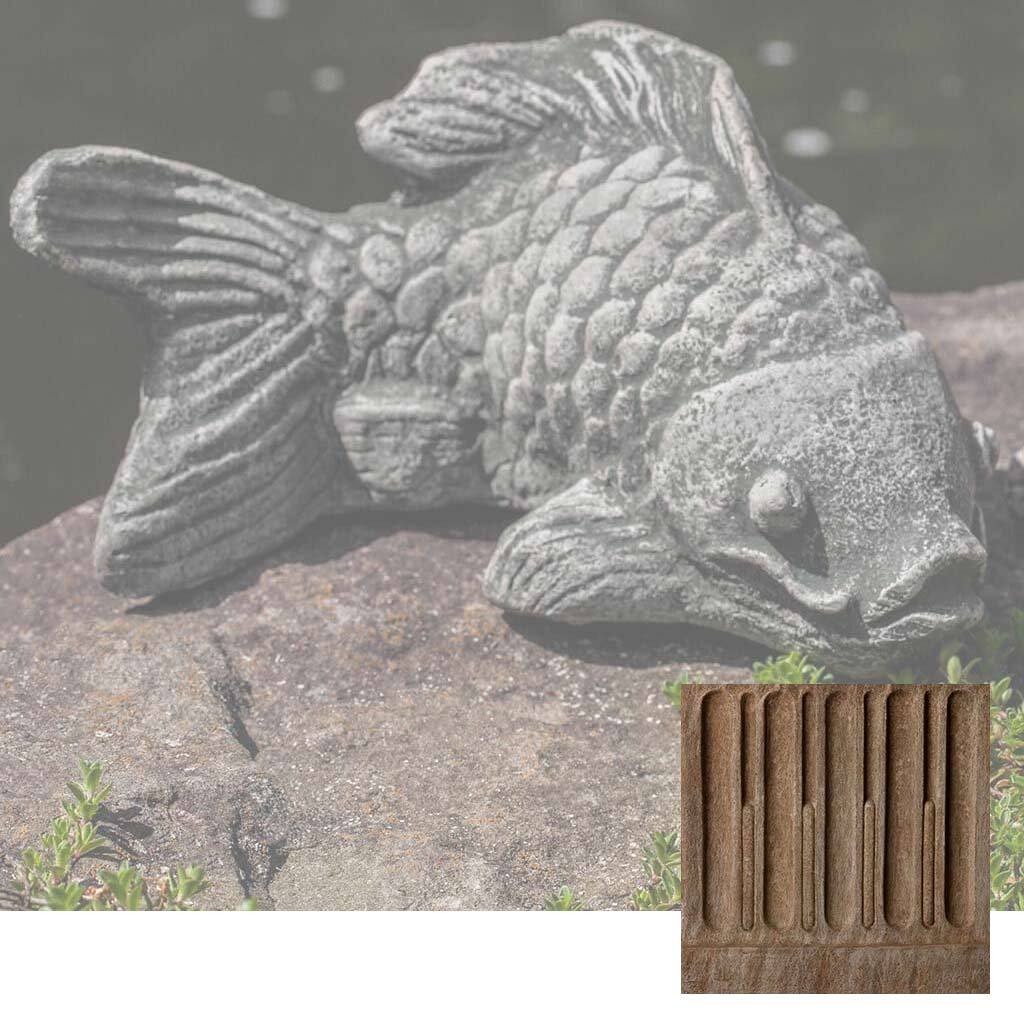 Campania Coy Koi