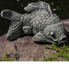 Campania Coy Koi