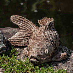 Campania Coy Koi