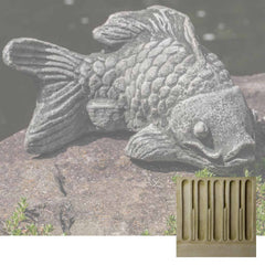 Campania Coy Koi