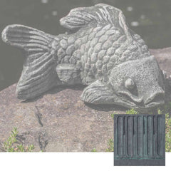 Campania Coy Koi