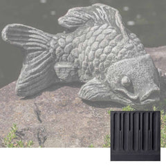 Campania Coy Koi