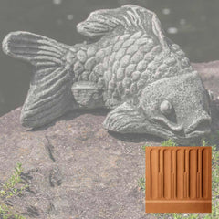 Campania Coy Koi