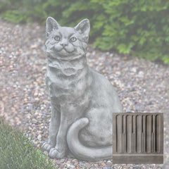 Campania Mimi