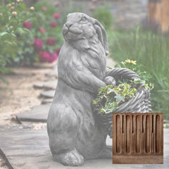 Campania Spring Hare