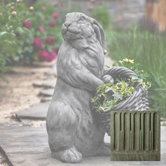 Campania Spring Hare