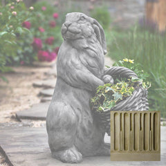 Campania Spring Hare