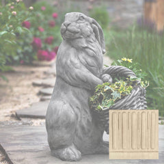 Campania Spring Hare