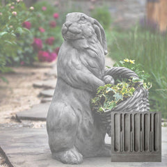 Campania Spring Hare