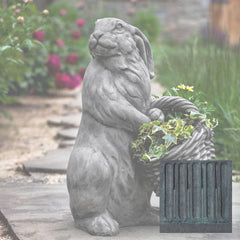 Campania Spring Hare