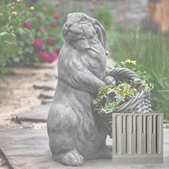 Campania Spring Hare