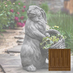 Campania Spring Hare