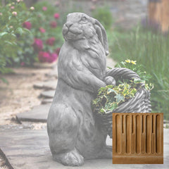 Campania Spring Hare
