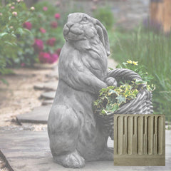 Campania Spring Hare