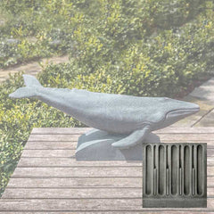 Campania Humpback Whale