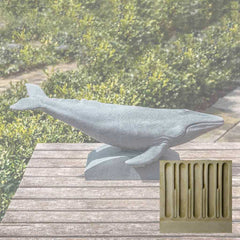 Campania Humpback Whale