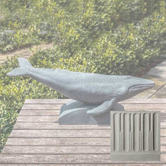Campania Humpback Whale