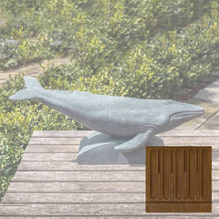 Campania Humpback Whale