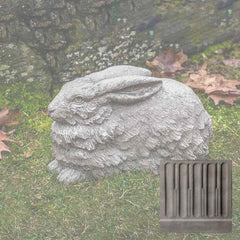 Campania Flemish Hare