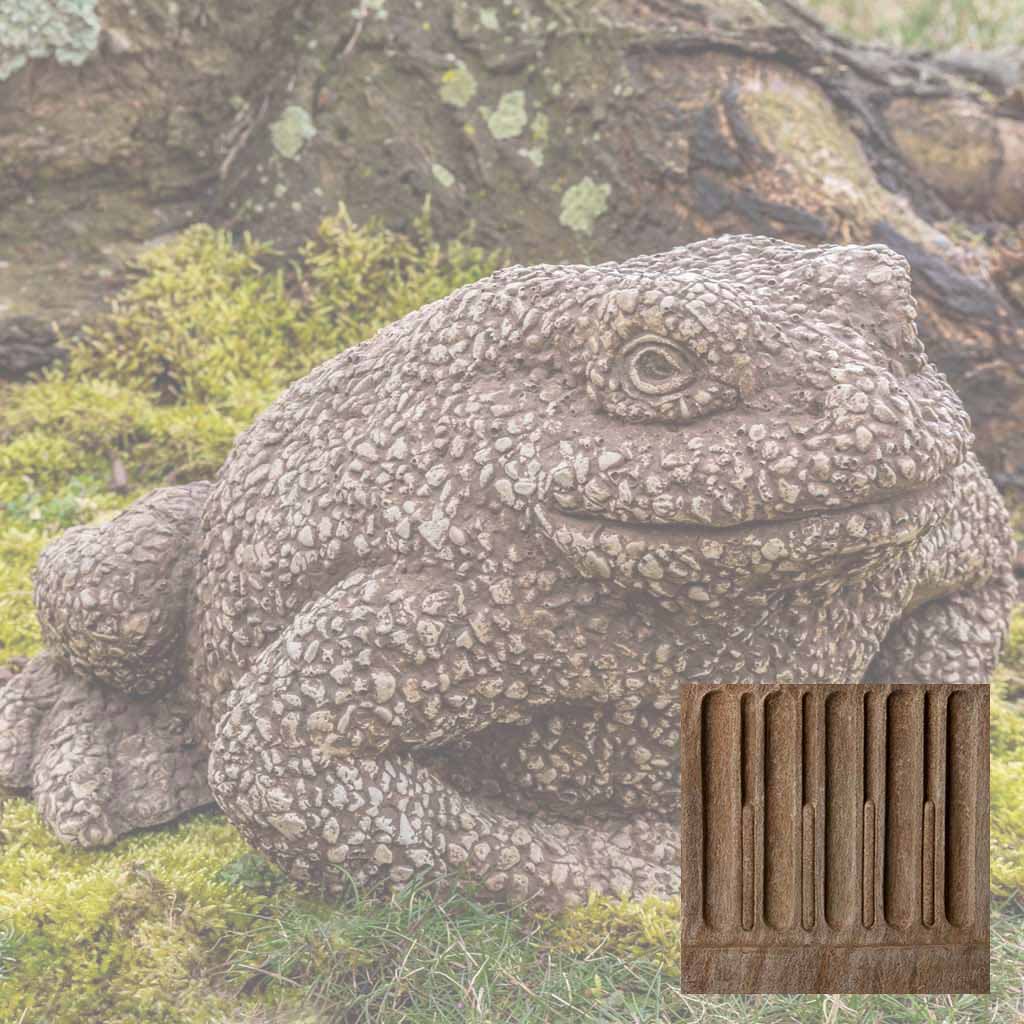 Campania Forest Toad