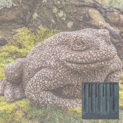 Campania Forest Toad