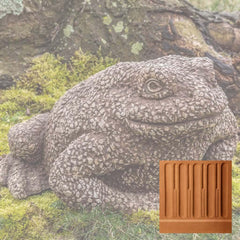 Campania Forest Toad