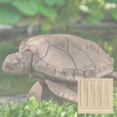 Campania Large Sea Turtle