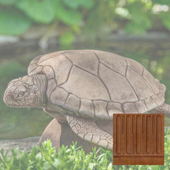 Campania Large Sea Turtle