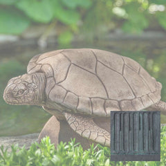 Campania Large Sea Turtle