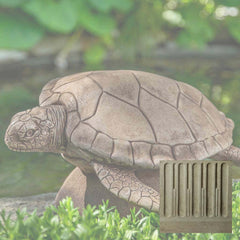 Campania Large Sea Turtle