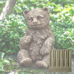 Campania Bear Cub