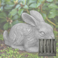 Campania Bunny