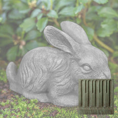 Campania Bunny