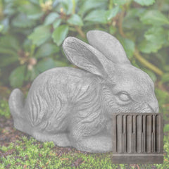 Campania Bunny