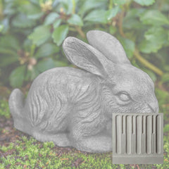 Campania Bunny