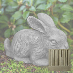 Campania Bunny