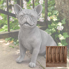 Campania Frenchie