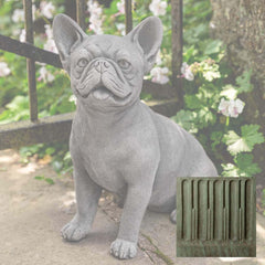 Campania Frenchie