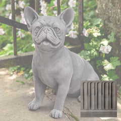Campania Frenchie