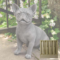 Campania Frenchie