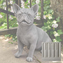 Campania Frenchie
