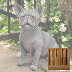 Campania Frenchie