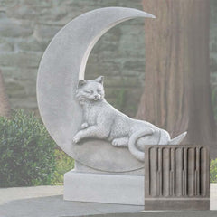 Cat on the Moon