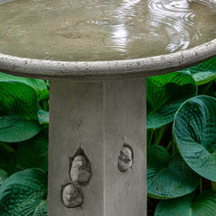 Photo of Campania Birdhouse Birdbath - Marquis Gardens