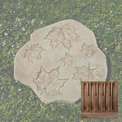 Campania Sugar Maple Stepper